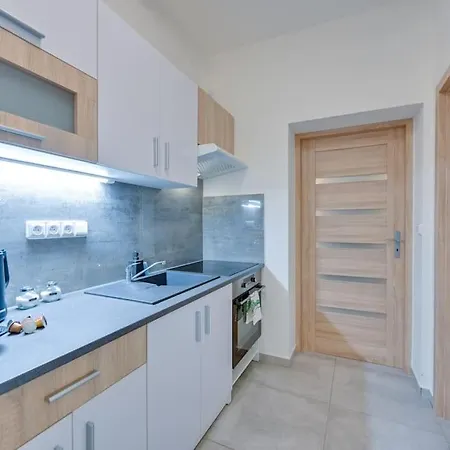 Viennacek Apartment